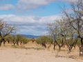 DSCF1183